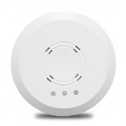 CA9600 300Mbps 802.11n Ceiling Access Point